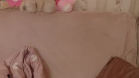 say meow and send tip  online show from 06/03/26, 08:39