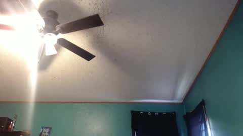 candyshop2024 online show from 12/17/25, 12:55