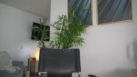 Snapshot of canelasungirl chatting on 09/10/25, 07:36 Jency NEW IG IMCANELA online show from 09/10/25, 07:36