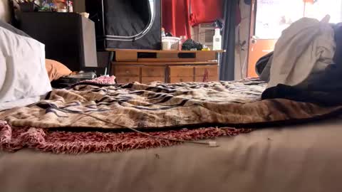 Bbc always ready balls insta bmac capone online show from 11/28/25, 08:11