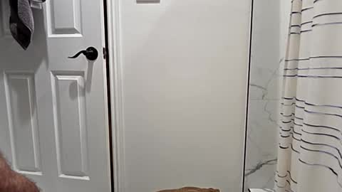 cappinrc8 online show from 01/12/26, 02:39