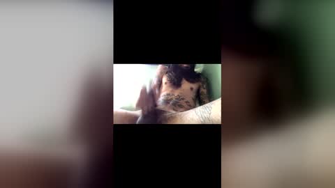 capt_thatcher online show from 05/30/26, 04:48