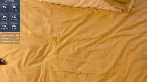 captain_flynt online show from 01/19/25, 04:54