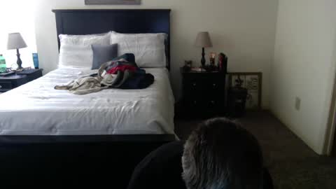 captmorgan30263 online show from 02/26/25, 09:27