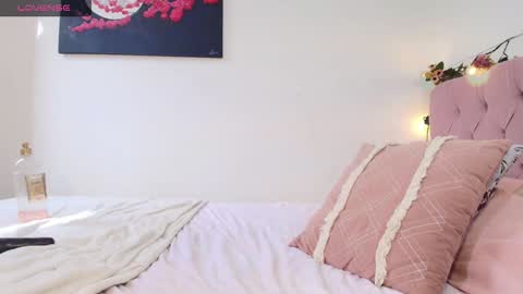 carolina online show from 12/19/24, 08:02