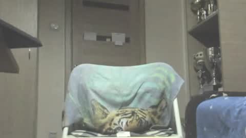 Snapshot of carin_the_body chatting on 07/11/26, 11:50 Laz online show from 07/11/26, 11:50