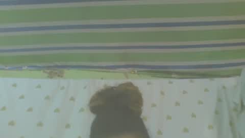 Snapshot of carinesexy69 chatting on 10/31/25, 10:16 carinesexy69 online show from 10/31/25, 10:16