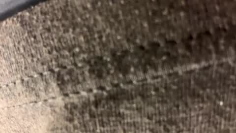 Snapshot of carl1616742489 chatting on 04/21/26, 01:42 Carl1616 online show from 04/21/26, 01:42