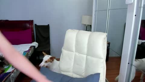 Snapshot of carla_bigcock09 chatting on 02/20/25, 11:09 carla_bigcock09 online show from 02/20/25, 11:09