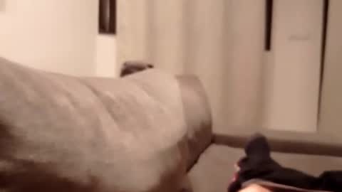 Snapshot of carlitito1 chatting on 10/30/25, 05:35 carlitito1 online show from 10/30/25, 05:35