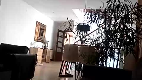 carlitito1 online show from 04/15/26, 09:16