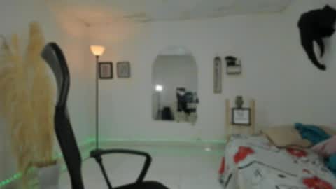 master online show from 11/29/25, 12:41