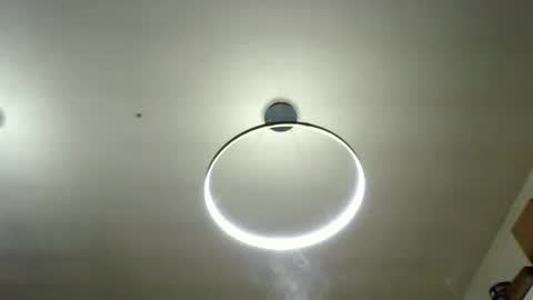 Carlos online show from 03/31/26, 02:13