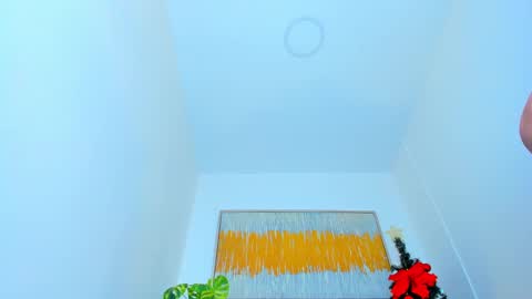 Andrea online show from 01/08/25, 03:17