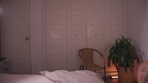 carolart online show from 02/03/26, 11:21