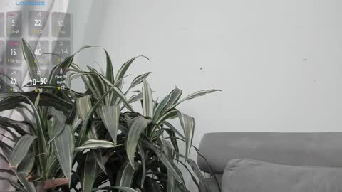 carolina_t online show from 01/22/25, 12:59