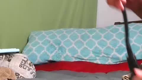 Snapshot of carolinayungin96 chatting on 11/11/25, 10:43 carolinayungin96 online show from 11/11/25, 10:43