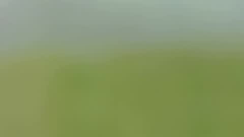 Caro online show from 09/24/25, 01:53