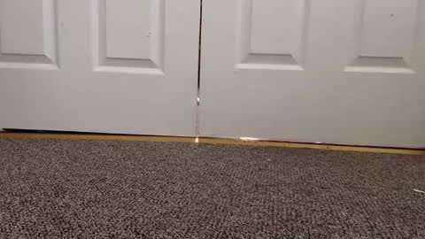 Snapshot of cash13bychanel chatting on 01/22/25, 08:17 cash13bychanel online show from 01/22/25, 08:17