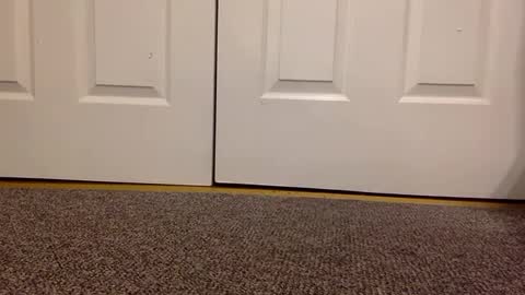 Snapshot of cash13bychanel chatting on 01/23/25, 05:56 cash13bychanel online show from 01/23/25, 05:56