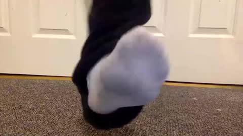 Snapshot of cash13bychanel chatting on 01/26/25, 01:41 cash13bychanel online show from 01/26/25, 01:41