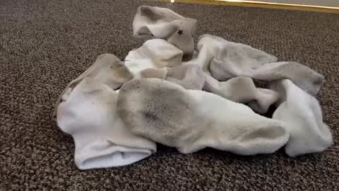 Snapshot of cash13bychanel chatting on 02/04/25, 06:38 cash13bychanel online show from 02/04/25, 06:38