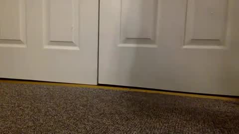 Snapshot of cash13bychanel chatting on 03/06/25, 09:14 cash13bychanel online show from 03/06/25, 09:14