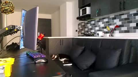 cash_master777 online show from 05/21/26, 01:07