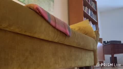 Snapshot of casperdavidfriedrich chatting on 02/14/26, 03:53 casperdavidfriedrich online show from 02/14/26, 03:53