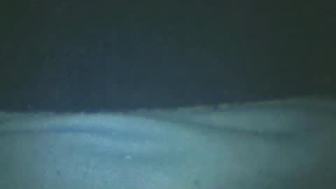 Snapshot of castells chatting on 02/20/25, 05:18 castells online show from 02/20/25, 05:18