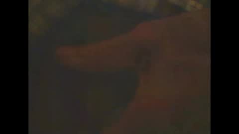 Snapshot of castells chatting on 02/23/25, 06:56 castells online show from 02/23/25, 06:56