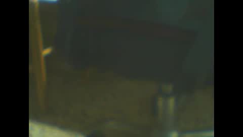 Snapshot of castells chatting on 10/20/25, 05:02 castells online show from 10/20/25, 05:02