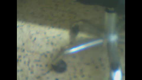 castells online show from 03/24/26, 05:18