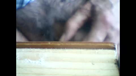 Snapshot of castells chatting on 06/05/26, 02:56 castells online show from 06/05/26, 02:56