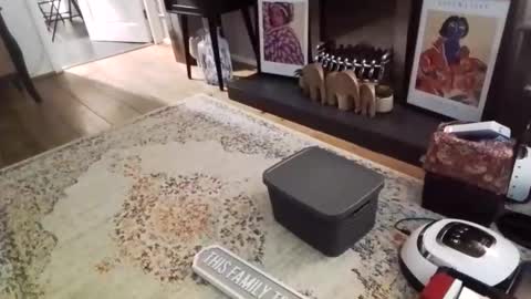 Snapshot of casuallyunhinged36 chatting on 02/09/26, 08:46 Bakewell Trixie online show from 02/09/26, 08:46