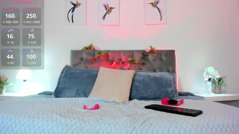 Snapshot of cat__moon__ chatting on 05/12/26, 10:18 Karol online show from 05/12/26, 10:18