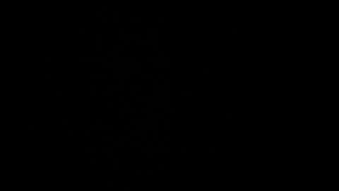 cata_n_cami online show from 12/21/24, 10:08