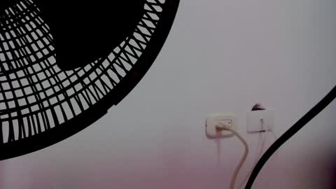 Snapshot of catalaia_stomm chatting on 01/17/25, 01:24 catalaia_stomm online show from 01/17/25, 01:24