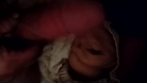 Snapshot of catdaddy179057 chatting on 02/24/26, 11:30 catdaddy179057 online show from 02/24/26, 11:30