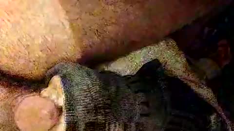 Snapshot of catdaddy179057 chatting on 03/01/26, 02:19 catdaddy179057 online show from 03/01/26, 02:19