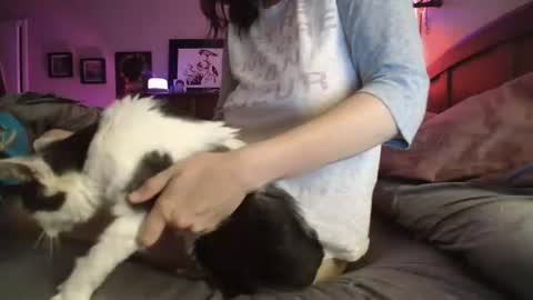 Snapshot of catnips_cabaret chatting on 07/10/26, 03:00 some call me djcatnips some call me CC but i love it when you call me miss catnips online show from 07/10/26, 03:00