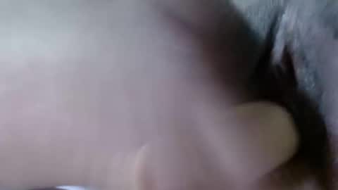 cattleya online show from 12/21/24, 08:18