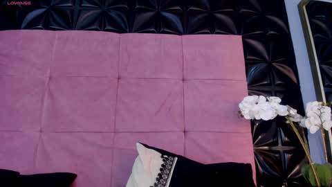 Cattleya  online show from 12/24/24, 05:02