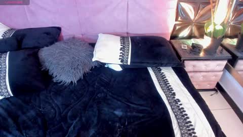 Cattleya  online show from 12/28/24, 05:57