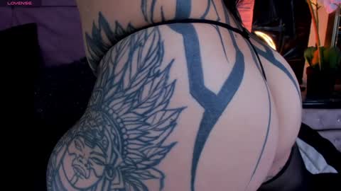 Cattleya  online show from 12/29/24, 04:40