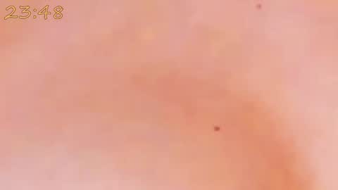 Snapshot of catty_foxx chatting on 01/25/25, 06:24 online show from 01/25/25, 06:24