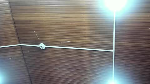 Snapshot of caylincollins chatting on 02/02/26, 12:48 caylincollins online show from 02/02/26, 12:48