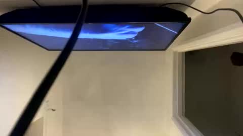 Snapshot of ccsexycam chatting on 04/10/26, 01:00 ccsexycam online show from 04/10/26, 01:00