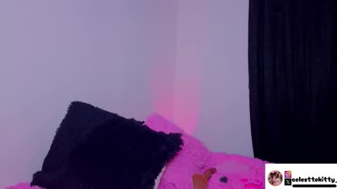 Snapshot of celestte_evans_1 chatting on 03/15/26, 02:39 celestte_evans_1 online show from 03/15/26, 02:39