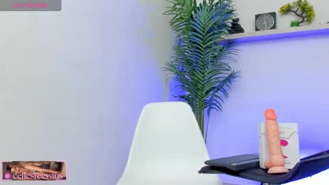 Celeste  online show from 01/20/25, 04:45